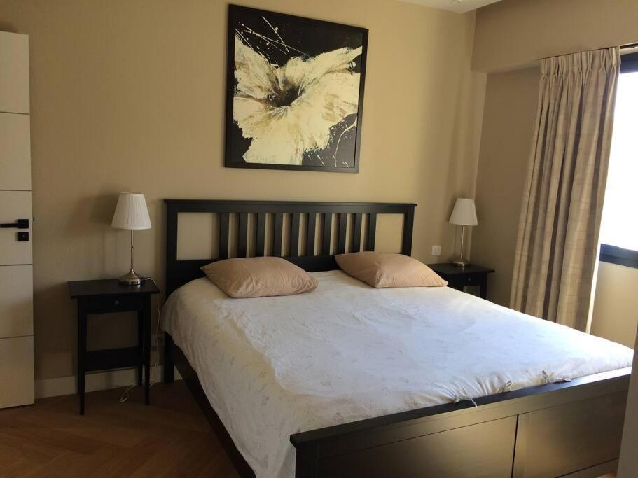 Lovely Refurbished Apartment Nice Buitenkant foto