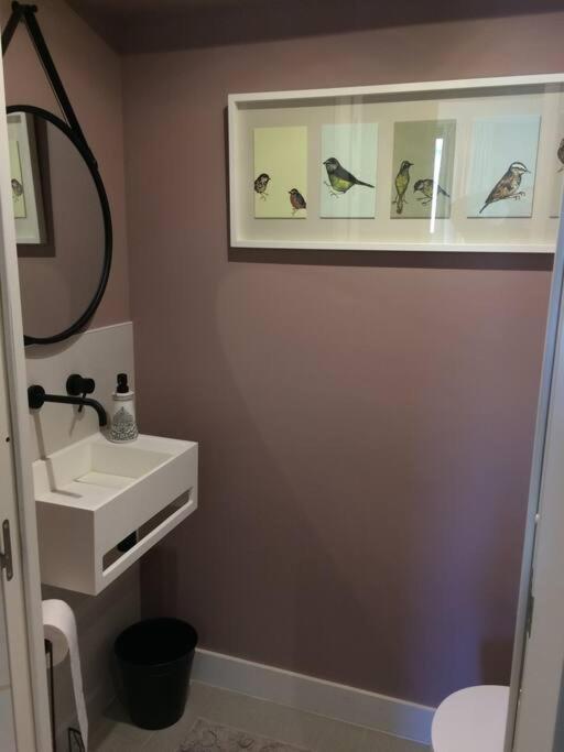 Lovely Refurbished Apartment Nice Buitenkant foto